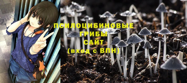 прущая мука Алзамай