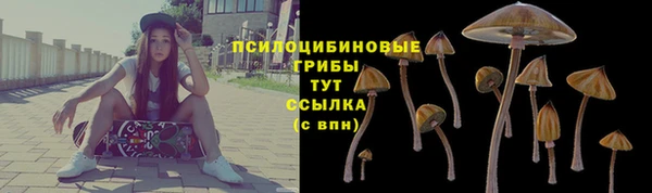 a pvp Сосновка