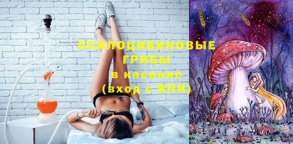 ECSTASY Алексин