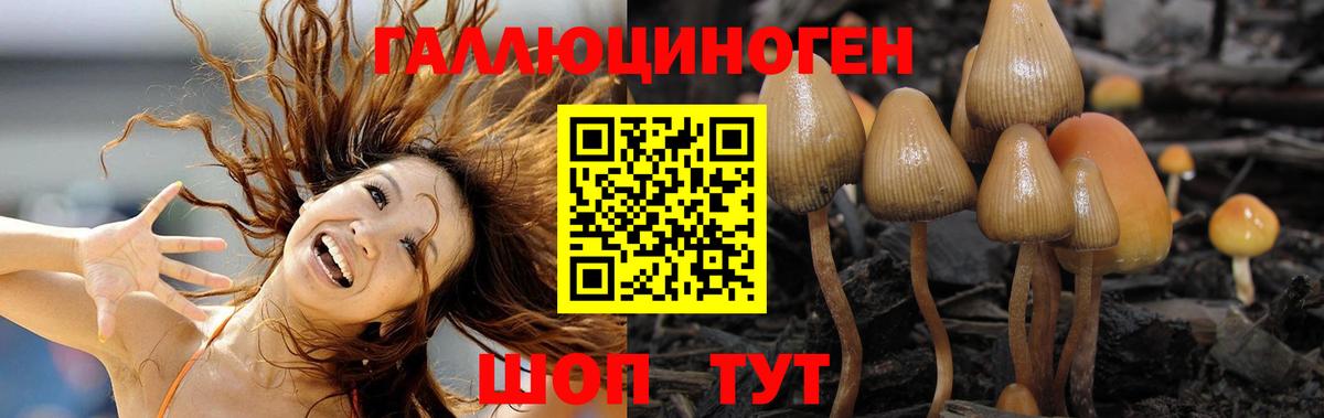 Псилоцибиновые грибы прущие грибы  Псилоцибиновые грибы Cubensis  Киреевск  Вход с VPN 